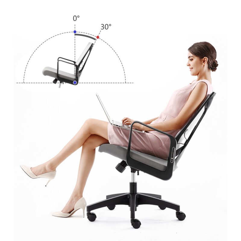 Zilean N840 || Comfort Cushion || Adjustable Nylon Back Support || Armrest