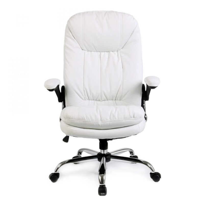 P520 Ergonomic Black Chair with Advanced Mechanism